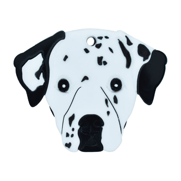 Dalmata