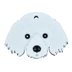 Poodle 1