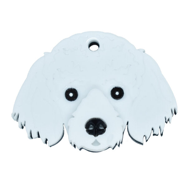 Poodle 1