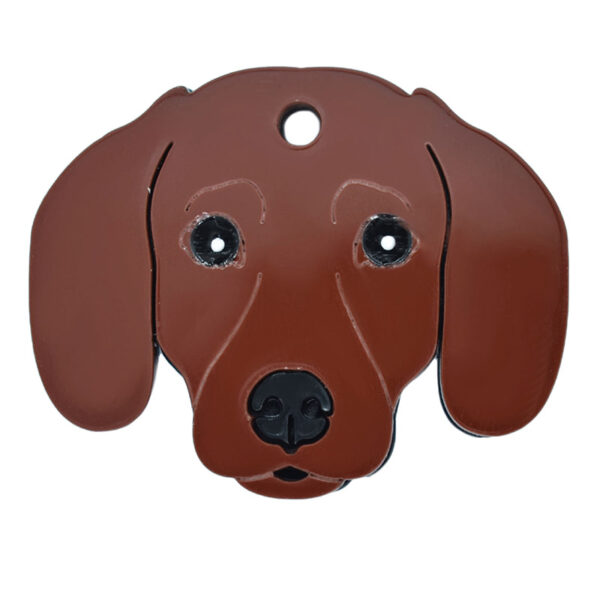 Dachshund