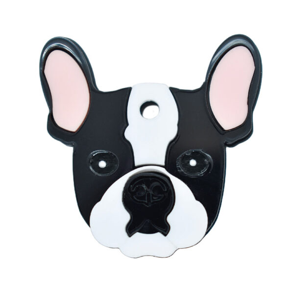 Boston Terrier