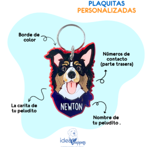 Placas personalizadas (perros)