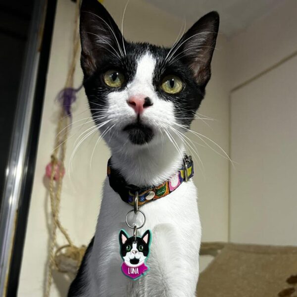 Placas personalizadas (Gato) - Image 3
